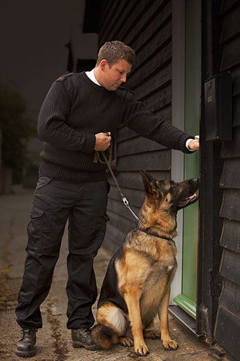 Photo of AIES dog handler checking premises